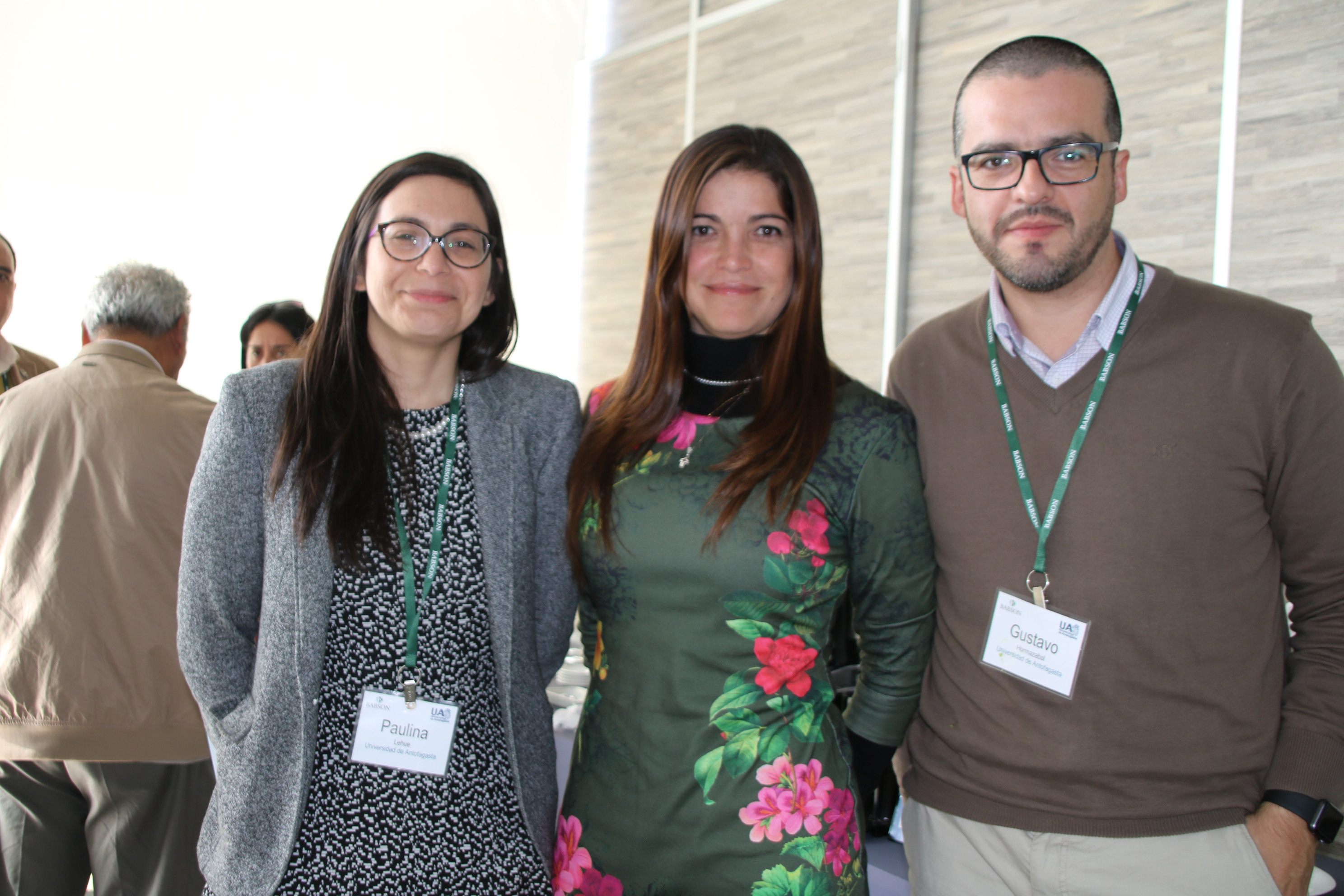 luksic babson antofagasta chile